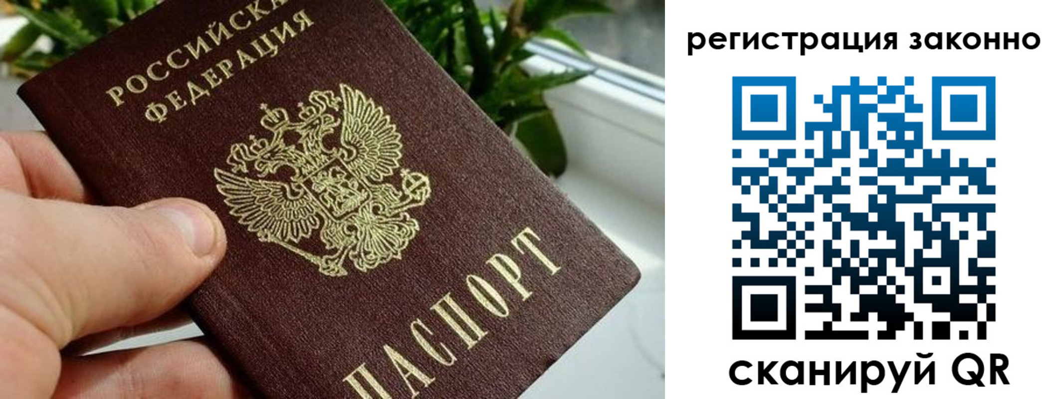 прописка гарантия в Мончегорске